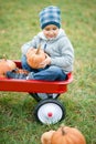 Happy little toddler boy on pumpkin patch on cold autumn day, with a lot of pumpkins for halloween or thanksgiving Royalty Free Stock Photo