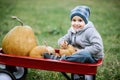 Happy little toddler boy on pumpkin patch on cold autumn day, with a lot of pumpkins for halloween or thanksgiving Royalty Free Stock Photo