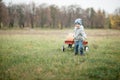 Happy little toddler boy on pumpkin patch on cold autumn day, with a lot of pumpkins for halloween or thanksgiving Royalty Free Stock Photo