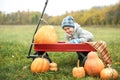 Happy little toddler boy on pumpkin patch on cold autumn day, with a lot of pumpkins for halloween or thanksgiving Royalty Free Stock Photo