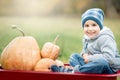 Happy little toddler boy on pumpkin patch on cold autumn day, with a lot of pumpkins for halloween or thanksgiving Royalty Free Stock Photo