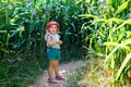 Happy little toddler girl playing on corn labyrinth field on organic farm, outdoors. Funny child hild having fun with Royalty Free Stock Photo