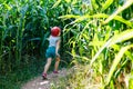 Happy little toddler girl playing on corn labyrinth field on organic farm, outdoors. Funny child hild having fun with Royalty Free Stock Photo