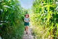 Happy little toddler girl playing on corn labyrinth field on organic farm, outdoors. Funny child hild having fun with