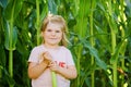 Happy little toddler girl playing on corn labyrinth field on organic farm, outdoors. Funny child hild having fun with Royalty Free Stock Photo