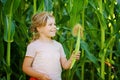 Happy little toddler girl playing on corn labyrinth field on organic farm, outdoors. Funny child hild having fun with running, Royalty Free Stock Photo