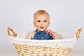 Happy little toddler sitting in the wicker basket