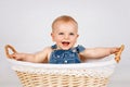Happy little toddler sitting in the wicker basket