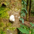 the happy lonely snail.