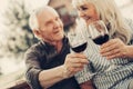 Happy looking aged twosome having picnic outdoors