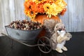 A happy looking squirrel with his acorns and a pumpkin full of mums