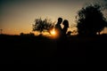 Happy lovers have a romantic time on sunset Royalty Free Stock Photo