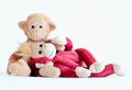 The happy loving couple, Best friends are hugging and lovely monkeys in love mode in Valentine