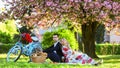 Happy loving couple relaxing in park with food. Romantic picnic with wine. Give uncommon, unique gifts spontaneously Royalty Free Stock Photo