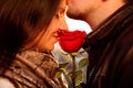 Amorous guy gently kissing his girl with red rose Royalty Free Stock Photo