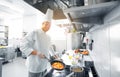 Happy male chef cooking food at restaurant kitchen Royalty Free Stock Photo