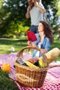 Happy male and female playing and enjoying picnic with children outside Royalty Free Stock Photo