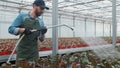 Happy male Gardener Waters Plants and Flowers with a Hosepipe in Sunny Industrial Greenhouse.