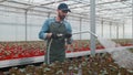 Happy male Gardener Waters Plants and Flowers with a Hosepipe in Sunny Industrial Greenhouse.