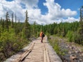 Happy male tourist with a large orange backpack on an old wooden bridge against the background of a coniferous forest turned to Royalty Free Stock Photo