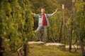 happy male vineyard owner. professional vintner on grape farm. man harvester on summer harvest. Royalty Free Stock Photo