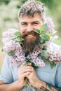 Happy man with beard and lilac blossom. Bearded man smile with lilac flowers on sunny day. Hipster enjoy scent of Royalty Free Stock Photo