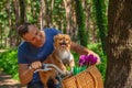Happy man on bike with his dog in basket and tulips in the park. Royalty Free Stock Photo