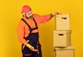 Happy man cardboard box. carrying boxes inside building. unpacking moving boxes. new house at moving day. bearded man Royalty Free Stock Photo