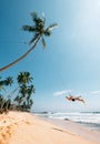 Happy man dangles on tropical palm tree swing Royalty Free Stock Photo