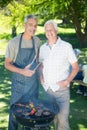 Happy man doing barbecue with his father Royalty Free Stock Photo