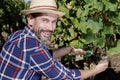 happy man enjoying glass wine Royalty Free Stock Photo