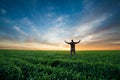 Happy man on green field of wheat at sunrise Royalty Free Stock Photo
