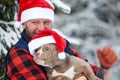 Happy man holding lovely dog in his hands wearing in a Santa hat in snowy forest. Smiling boy hugging adorable puppy in Royalty Free Stock Photo