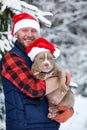 Happy man holding lovely dog in his hands wearing in a Santa hat in snowy forest. Smiling boy hugging adorable puppy in Royalty Free Stock Photo