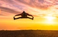 Happy man jumping for joy at sunset. Success, winner, happiness, ttavel concept Royalty Free Stock Photo