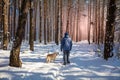 Man with the Labrador retriever dog walking in the winter forest Royalty Free Stock Photo