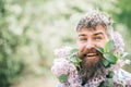 Happy man with lilac in beard. Bearded man smile with lilac flowers on sunny day. Hipster enjoy scent of spring blossom