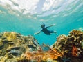 Happy man in snorkeling mask dive underwater with tropical fishes in coral reef sea pool. Travel lifestyle, water sport Royalty Free Stock Photo