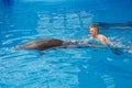 Happy man swim with dolphin in dolphinarium Royalty Free Stock Photo