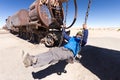 Happy man swinging teeterboard locomotive Bolivia trains cemete