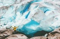 Happy Man walking at Nigardsbreen glacier Royalty Free Stock Photo