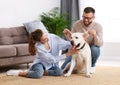 Happy married couple playing with their favorite pet dog   at home Royalty Free Stock Photo