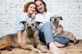 A happy married couple with their dogs, a seed portrait, love, c
