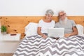 Happy married senior couple lying in bed watching videos on laptop - Mature people having fun at home - Technology elderly love Royalty Free Stock Photo