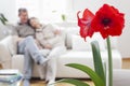 Happy mature couple on a couch in a living room at home