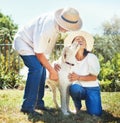 Happy mature couple, dog and garden in summer with smile, lick face and playing together on lawn. Senior man, woman and Royalty Free Stock Photo