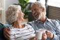 Happy mature couple having fun, drinking tea at home together Royalty Free Stock Photo