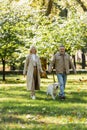 Happy mature couple with labrador looking Royalty Free Stock Photo