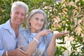 Happy Mature couple Royalty Free Stock Photo