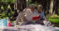 Happy mature couple reading book together and having picnic in park Royalty Free Stock Photo